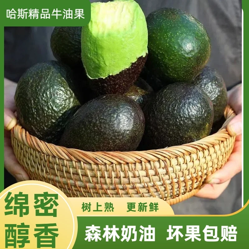 A秘鲁进口牛油果当季大水果新鲜果鳄梨应季宝宝辅食整箱发货