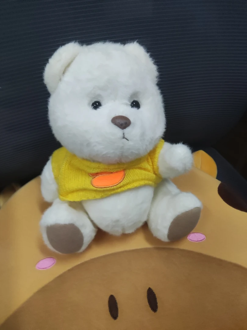 噗噗维尼熊公仔软萌可爱毛绒玩具送女友闺蜜生日礼物