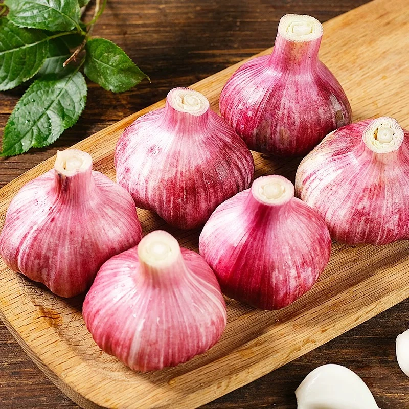 BC/热宝云南新鲜紫皮大蒜头多瓣蒜泡蒜专用腊八蒜2/3/5斤
