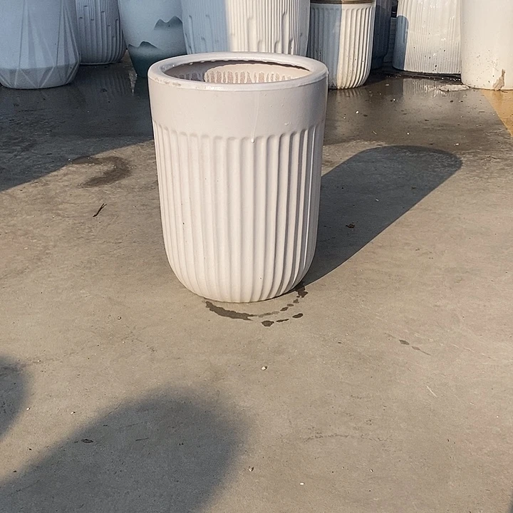 白白盆中口24高32福利