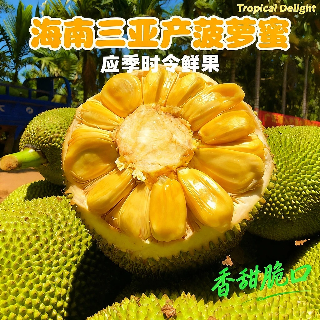 海南黄肉干苞菠萝蜜一整个10-35斤应季水果热带水果包邮