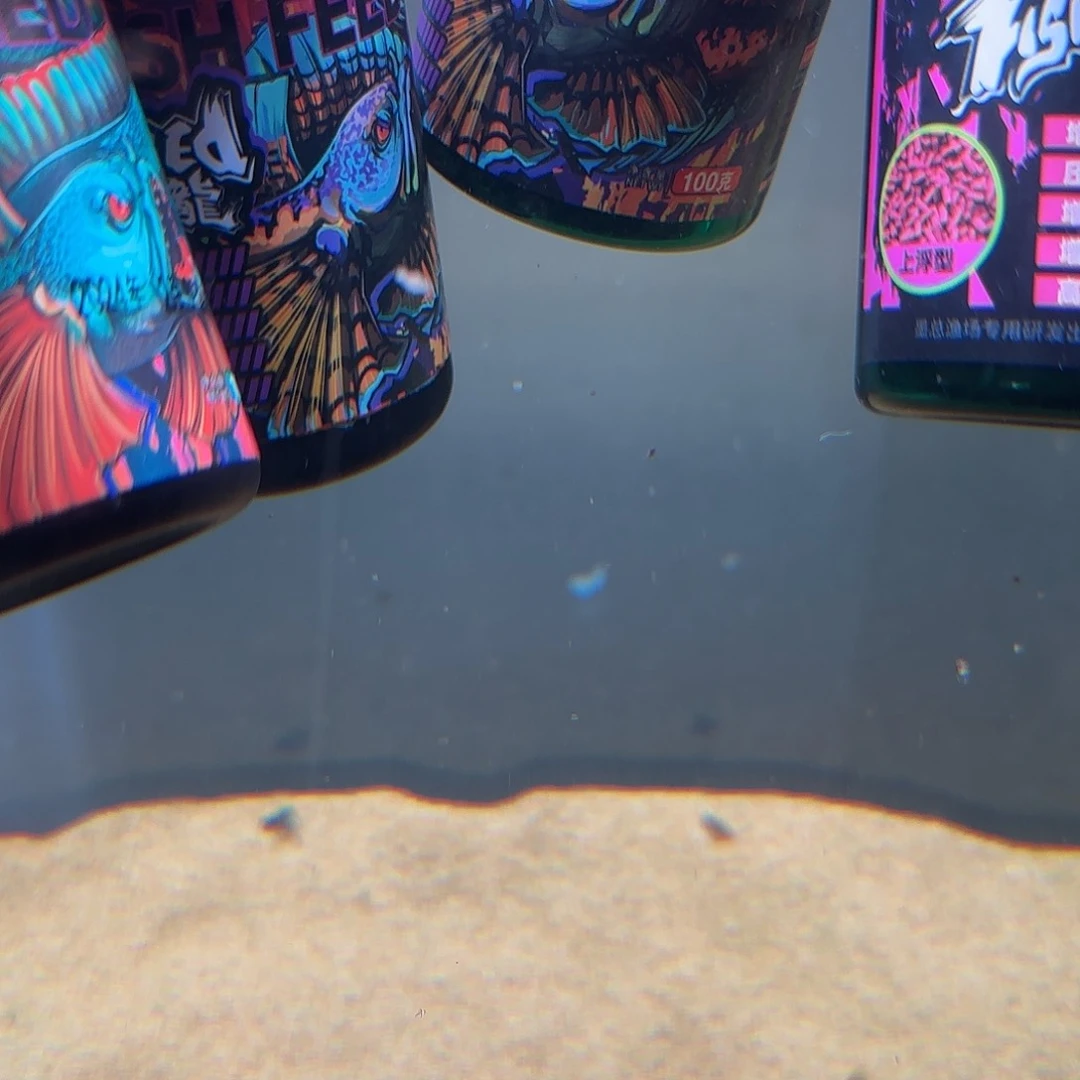 热带鱼公105555555