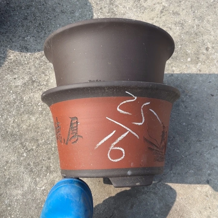 花盆紫砂紫砂的颜色