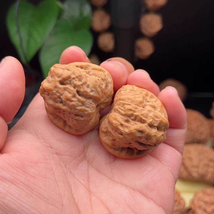 贝***爺把件文玩核桃哈摸头