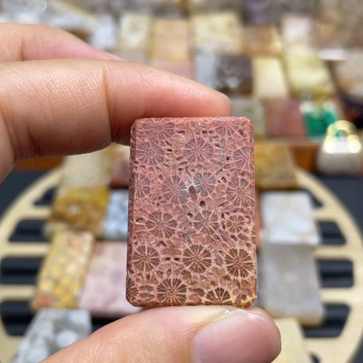 硅化玉未镶嵌颈饰k3