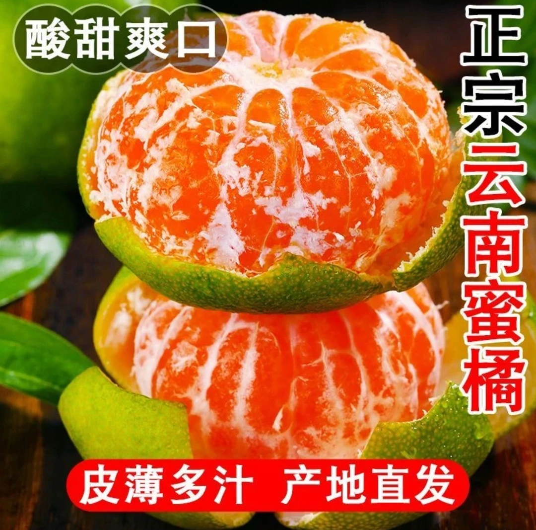 【现摘现发】云南蜜橘无核薄皮橘子青皮桔子时令水果当季现货现摘