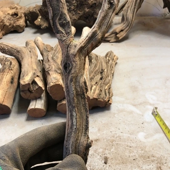 大果紫檀（缅甸花梨）V***n