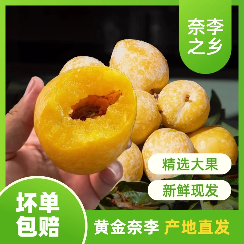 现货!正宗文明黄金李冰糖李子新鲜水果大果孕妇新鲜水果整箱包邮