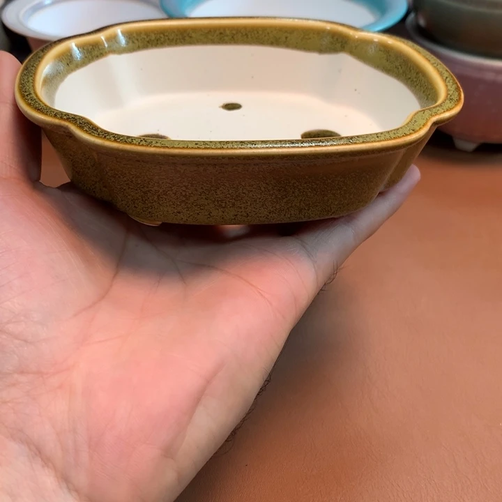 的微博视频我想我是