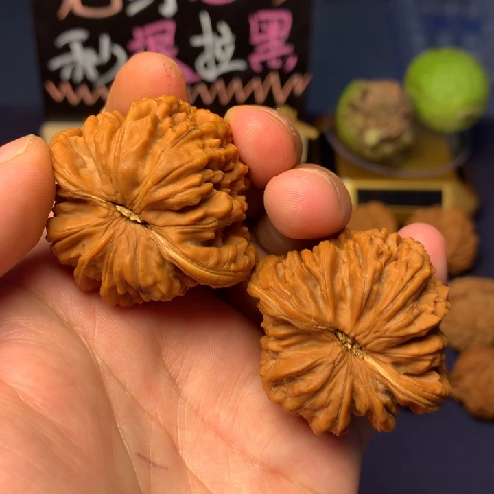 风***由44大尺寸大克重红皮