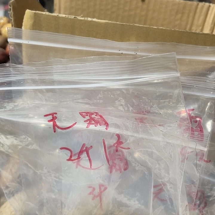 ****霜千眼菩提把件天然千眼菩提不退不换