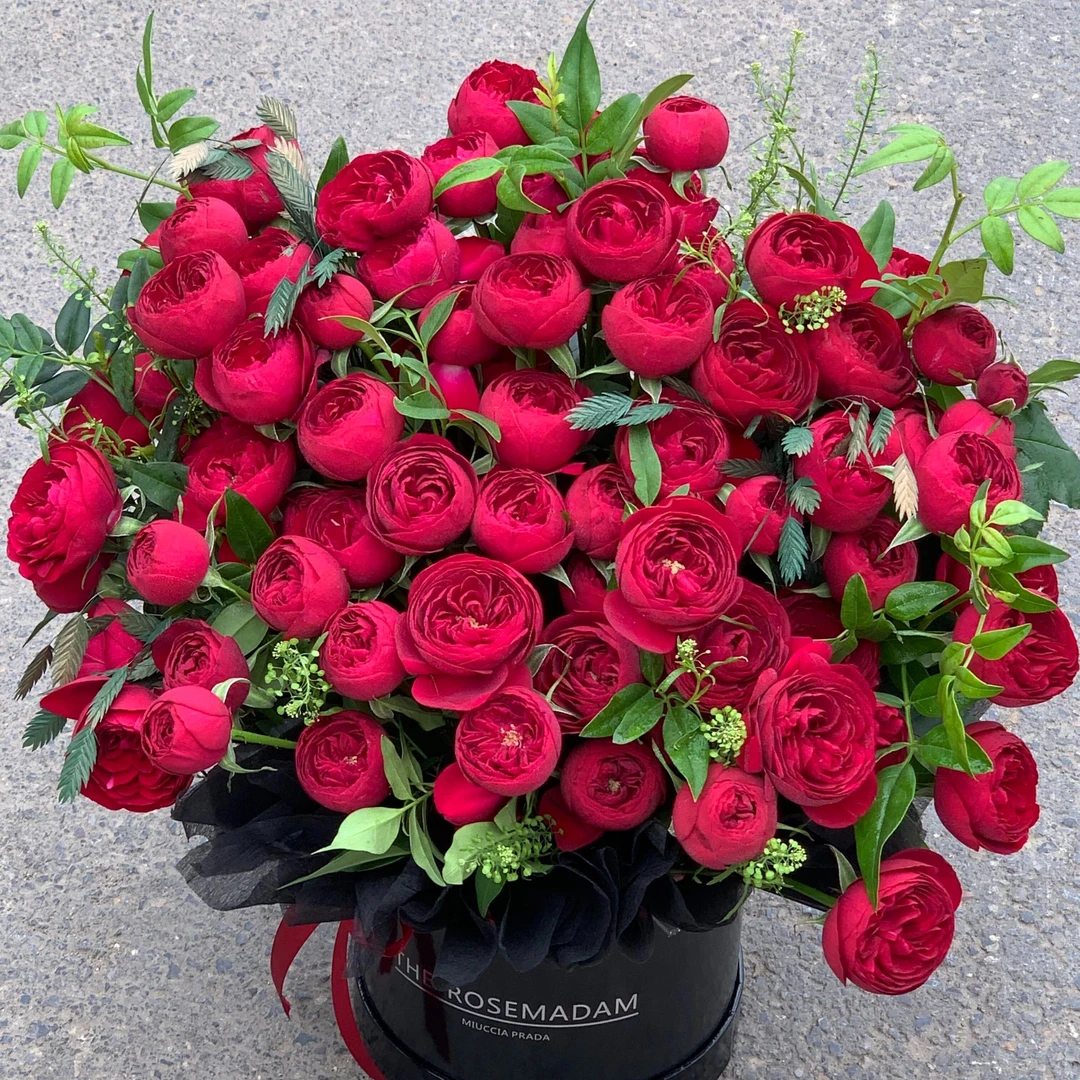 【红蕾丝】稀有精品多头红玫瑰云南直发家用鲜切花鲜花花束