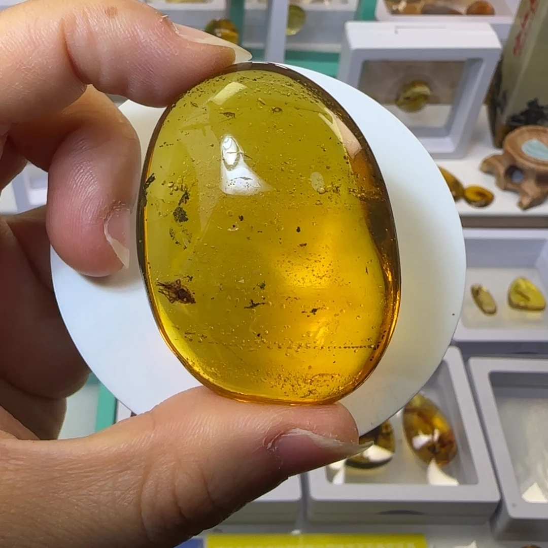 未镶嵌琥珀裸石葫*娃虫珀