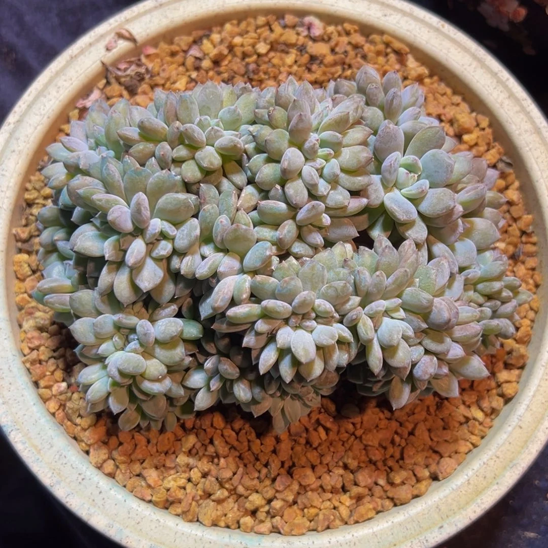 新年快乐 新年快乐