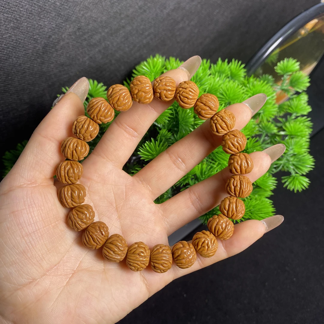 秦岭龙纹桃核金豆金蝉13