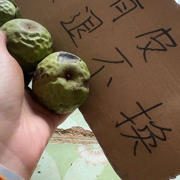 吊坠文玩核桃无*铁锤青皮