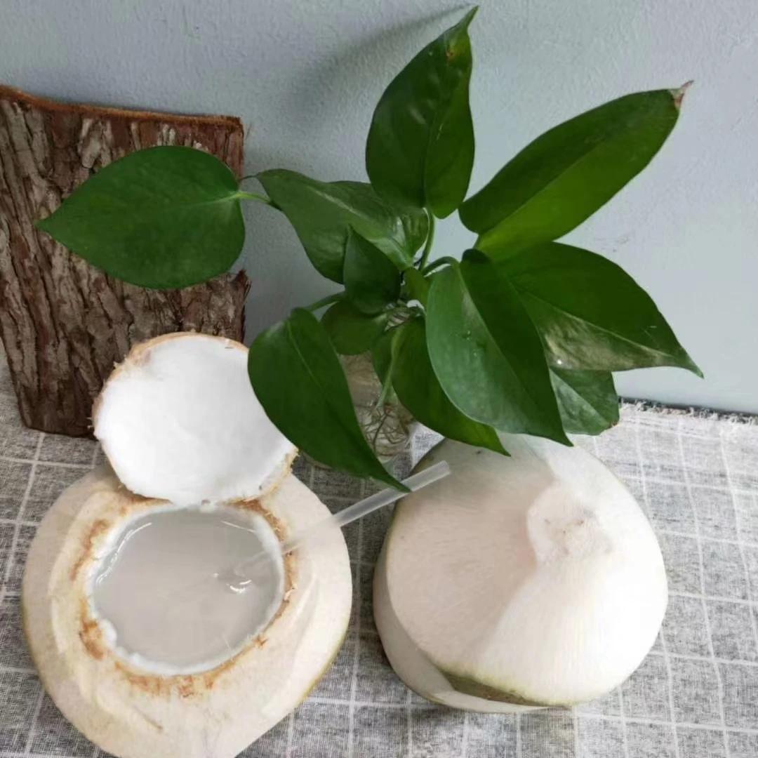 （送开椰器+吸管）泰国香水椰青清甜奶香当季新鲜水果
