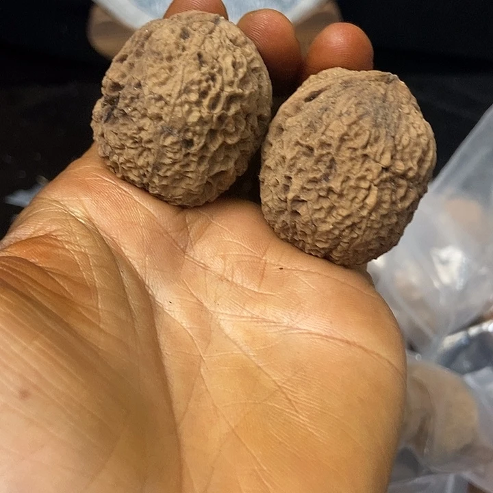 把件文玩核桃云南铁核桃基地73