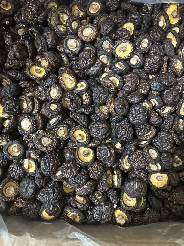 （小阿姨推荐）福建特产香菇（厚）