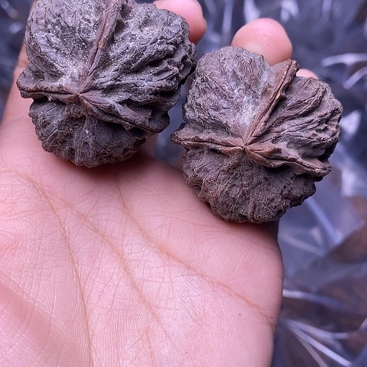 文玩核桃把件   257