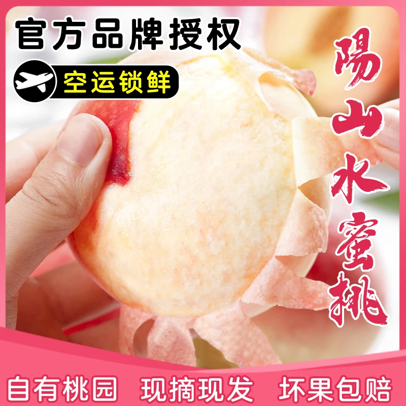 【6-7两】珍品桃王正宗无锡阳山水蜜桃核心产区白凤湖景自家现摘