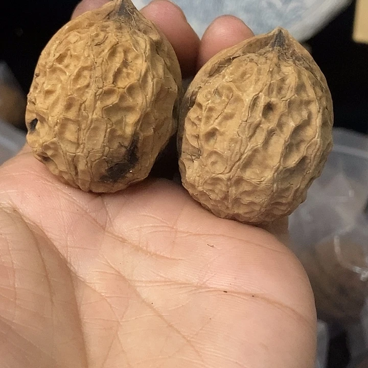 文玩核桃把件云南铁核桃基地95