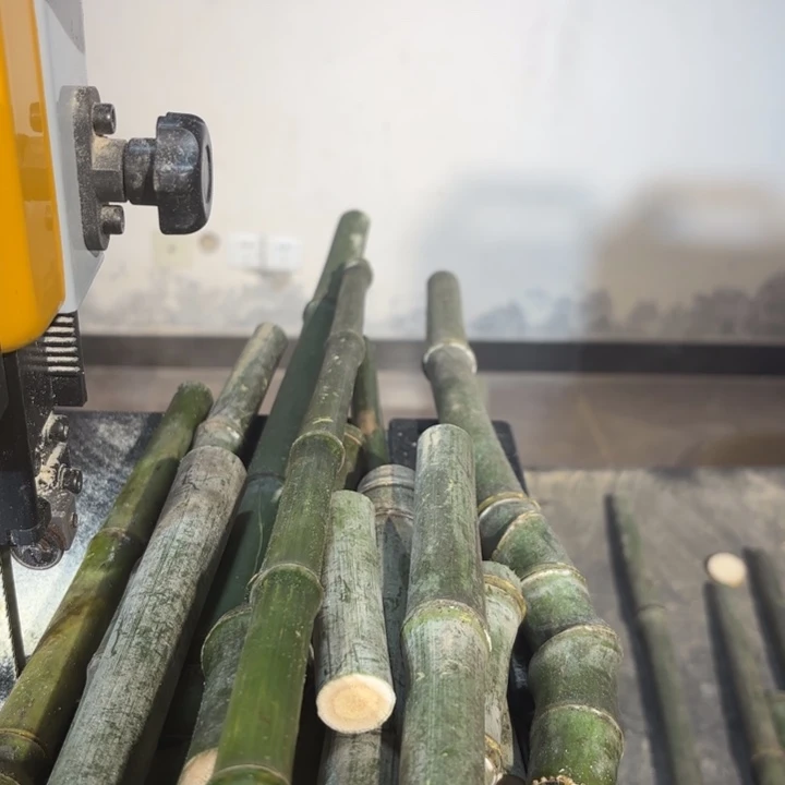 竹先*实心竹竹竹竹竹竹竹竹