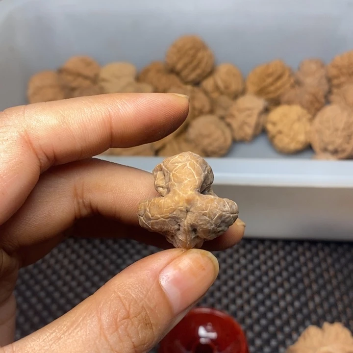 有***角吊坠文玩核桃文玩核桃异形单只