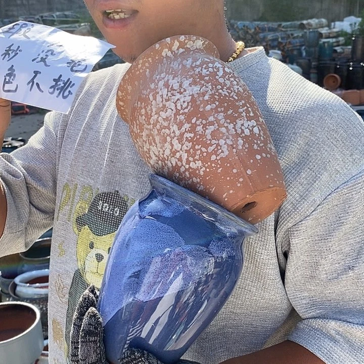 瑕疵颜色不挑瑕疵