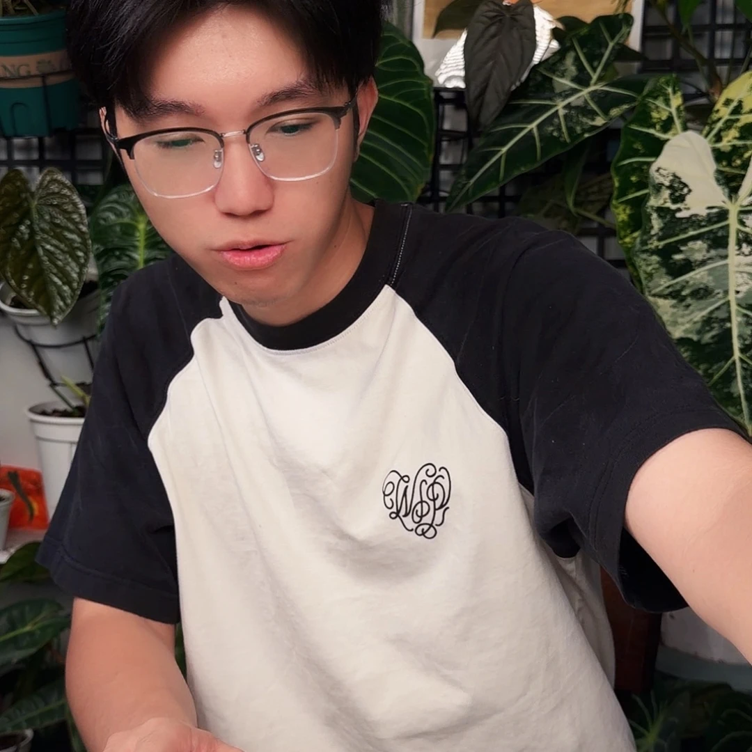 不开花植物Q137 极致圆脸铜锣烧杂小钻石