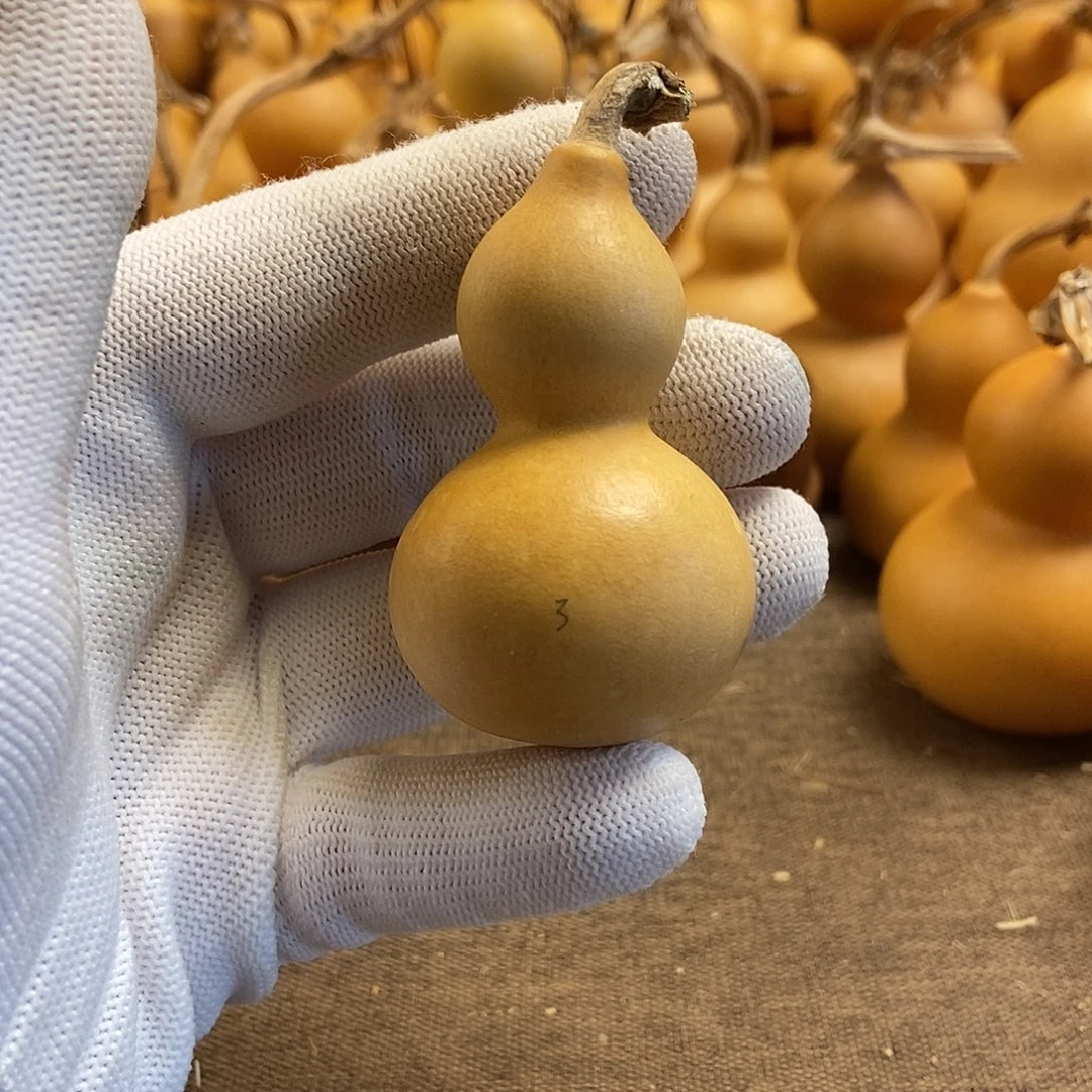 文玩葫芦 完美主义者 慎拍3