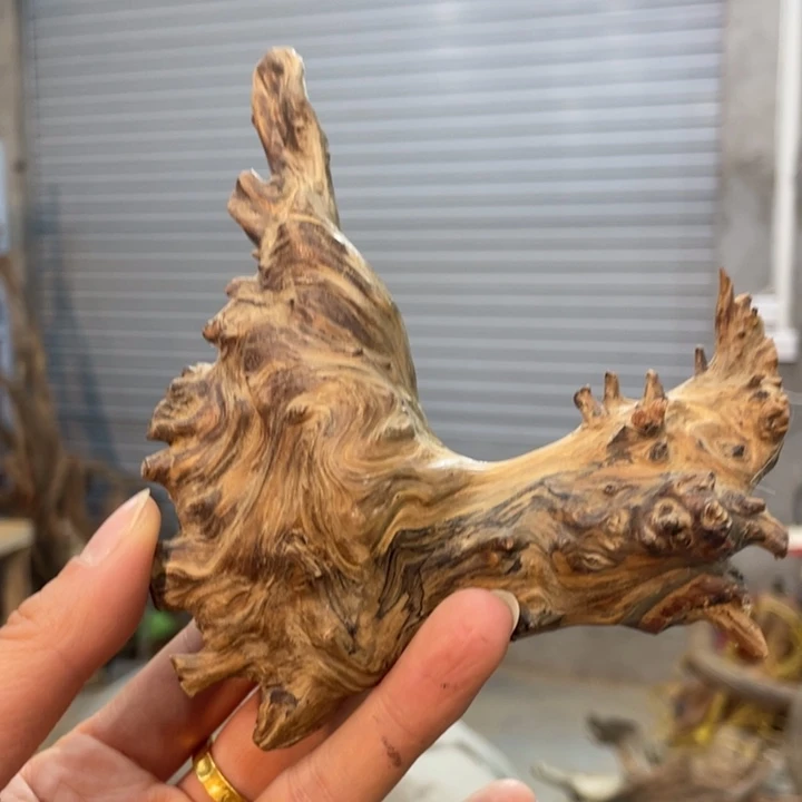 周*我们都是好孩子呀