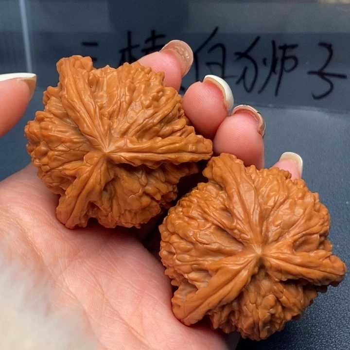 ****.大叶紫檀（黑酸枝木类）白狮子