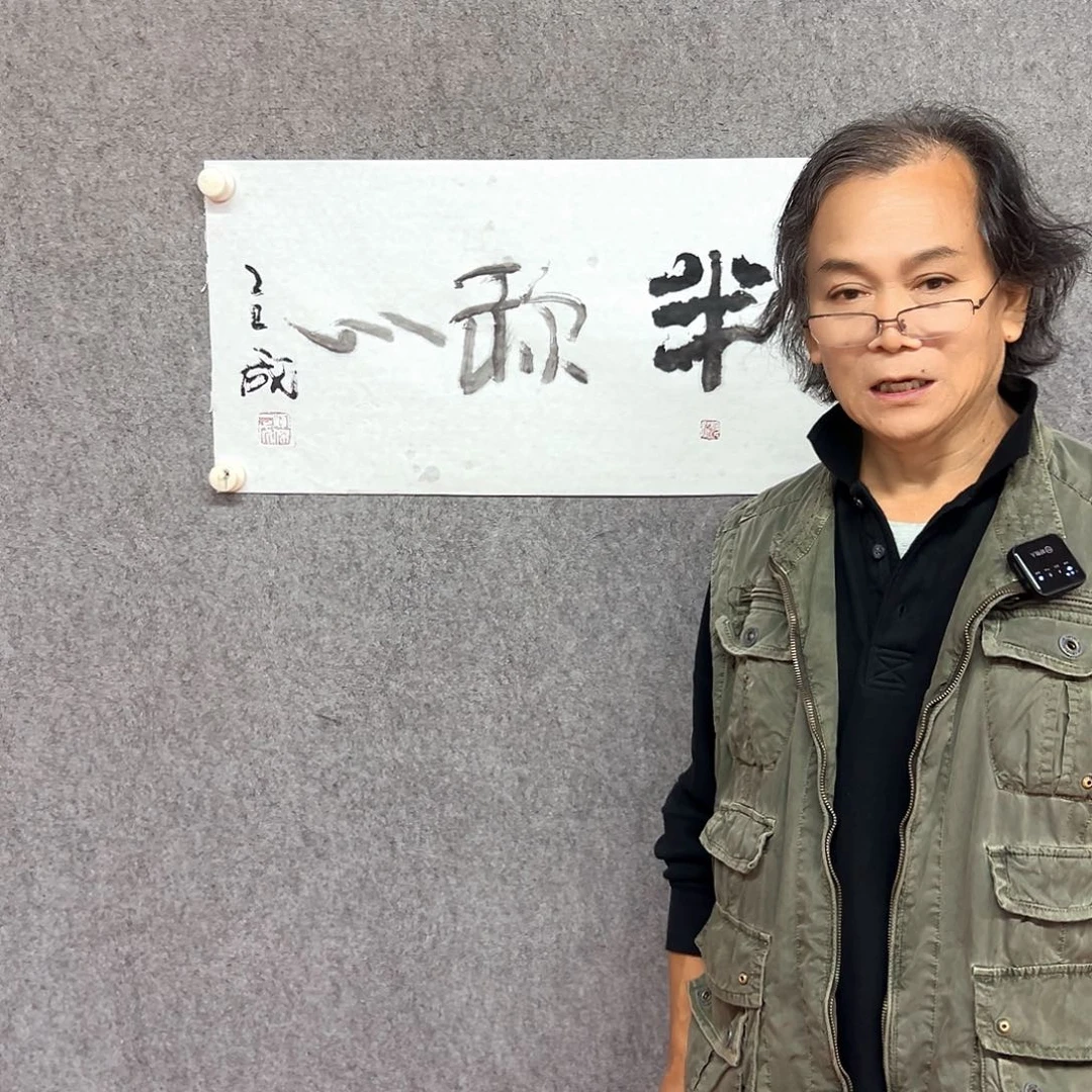 书法半称心书法作品