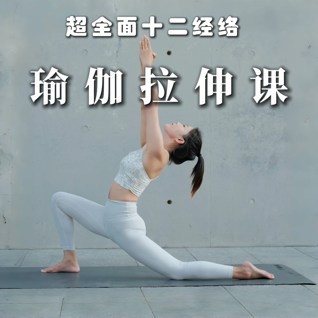 十二经络拉伸瑜伽【12节视频课】