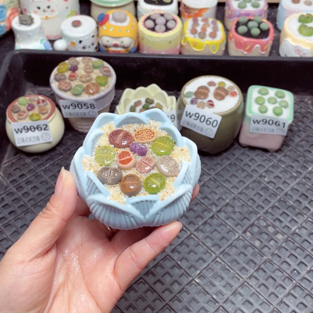 w9063 零下地区拍保温箱 -15支持寄养