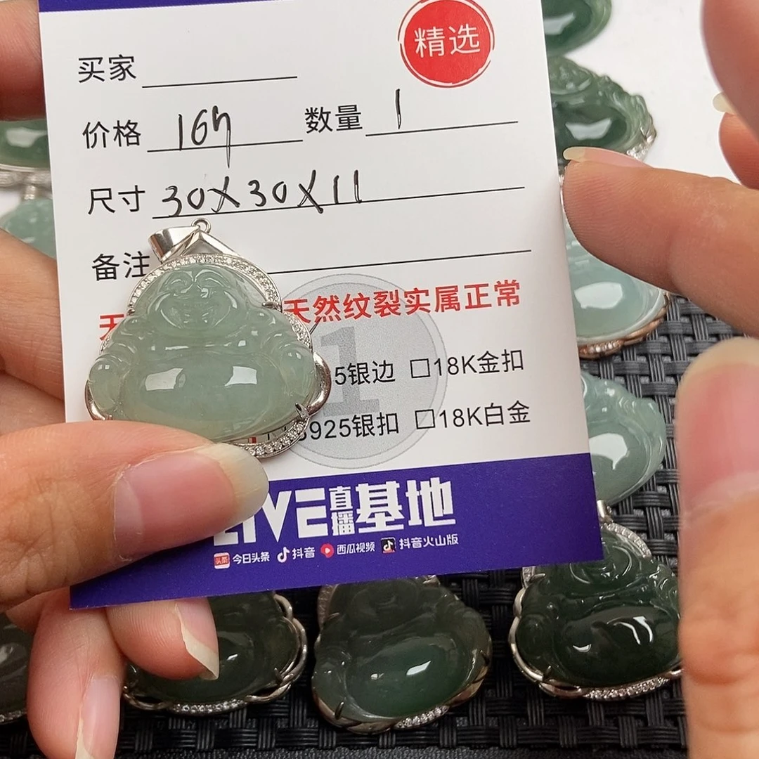 翡翠银S925镶嵌颈饰