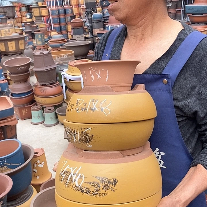 紫砂花盆紫砂花盆