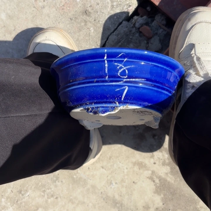 紫砂花盆紫砂的花