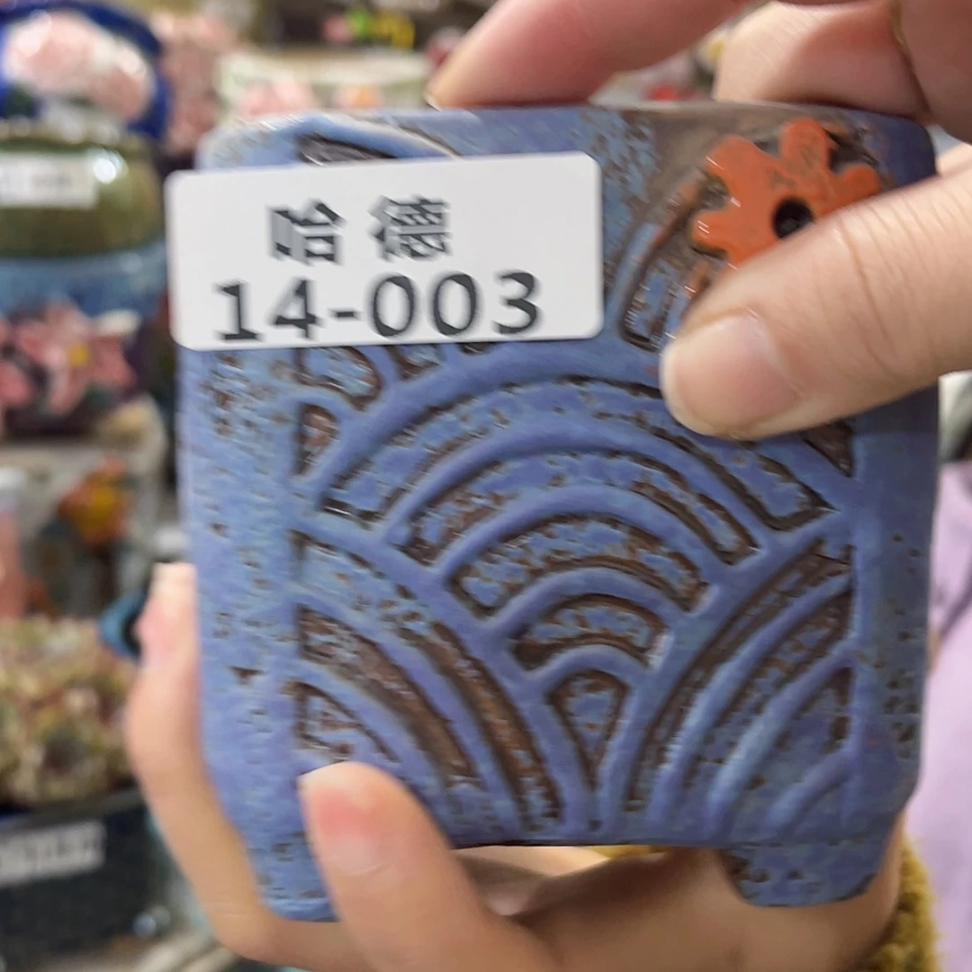 【闪购商品】红陶1403