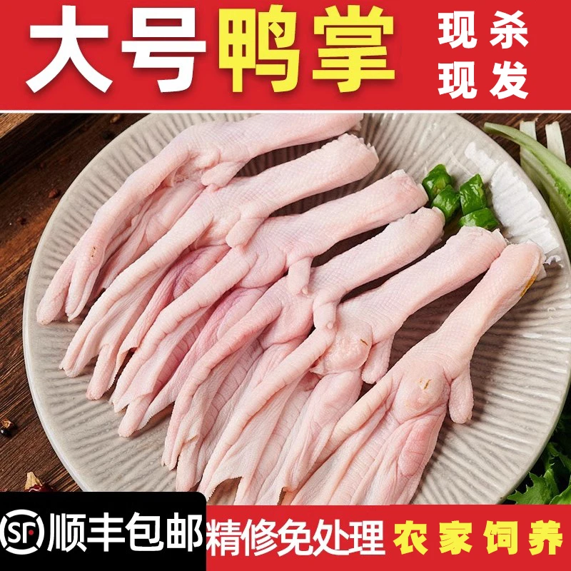 新鲜纯干大鸭掌鸭爪生鸭爪子鸭脚鸭掌鸭爪冷冻批发卤菜食材火锅