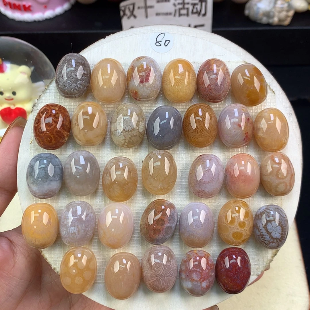 【闪购商品】颈饰未镶嵌硅化珊瑚（珊瑚玉）龟背80一个可挑（64号）
