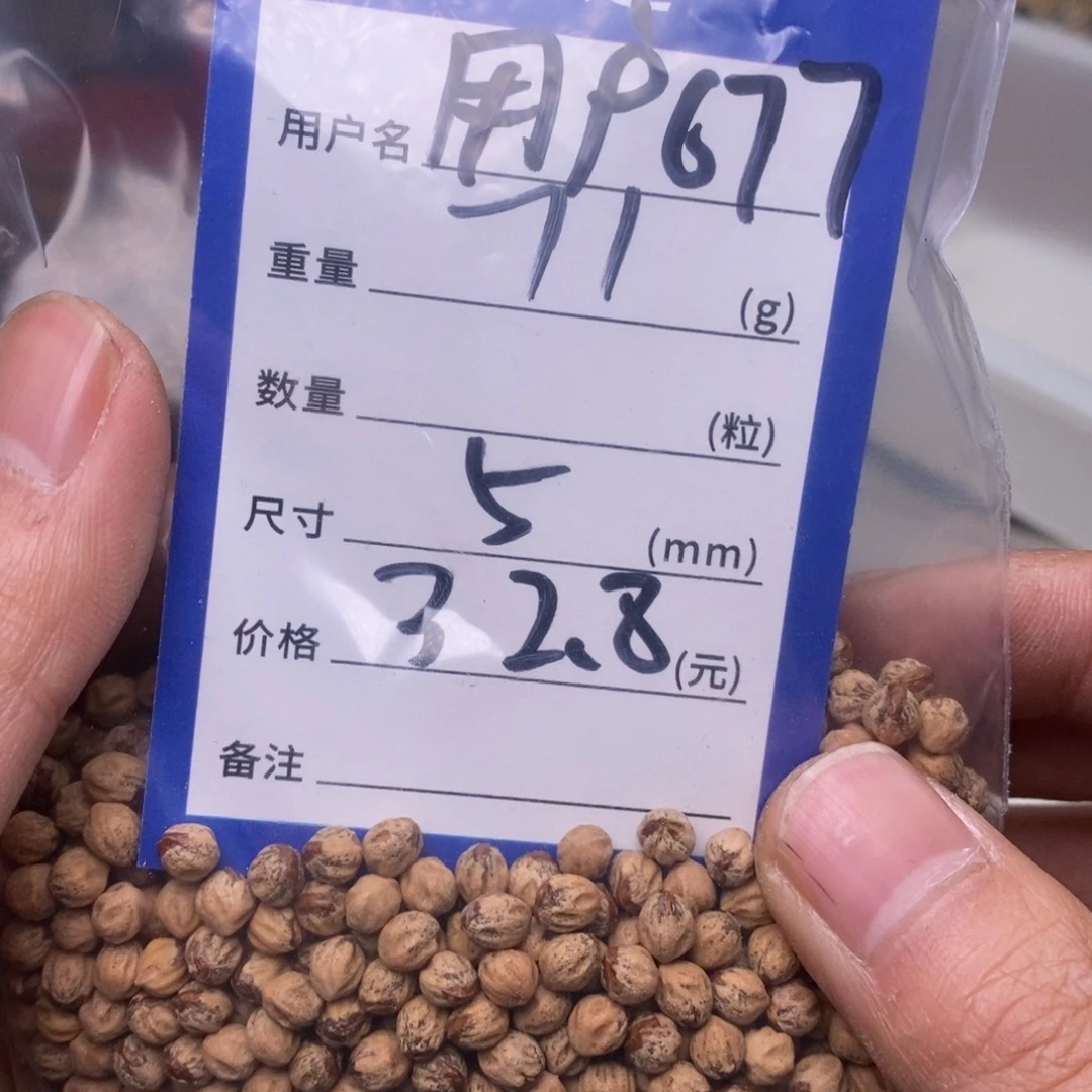 柏香籽/百香籽吊坠用***7