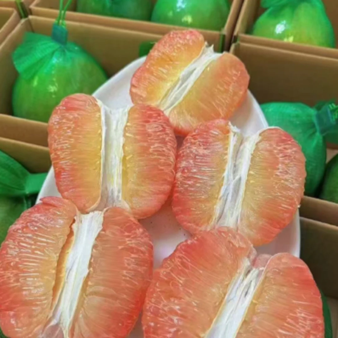 凯敏果业小时达  越南金柚一个1000/1250克黄金蜜柚越南