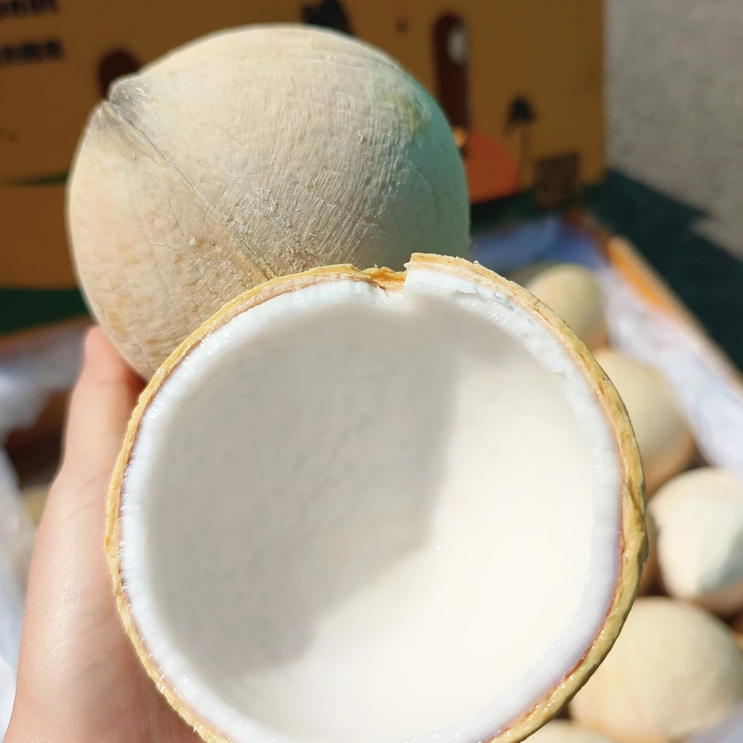 仓仓果鲜达(椰子)奶香奶香的，6个