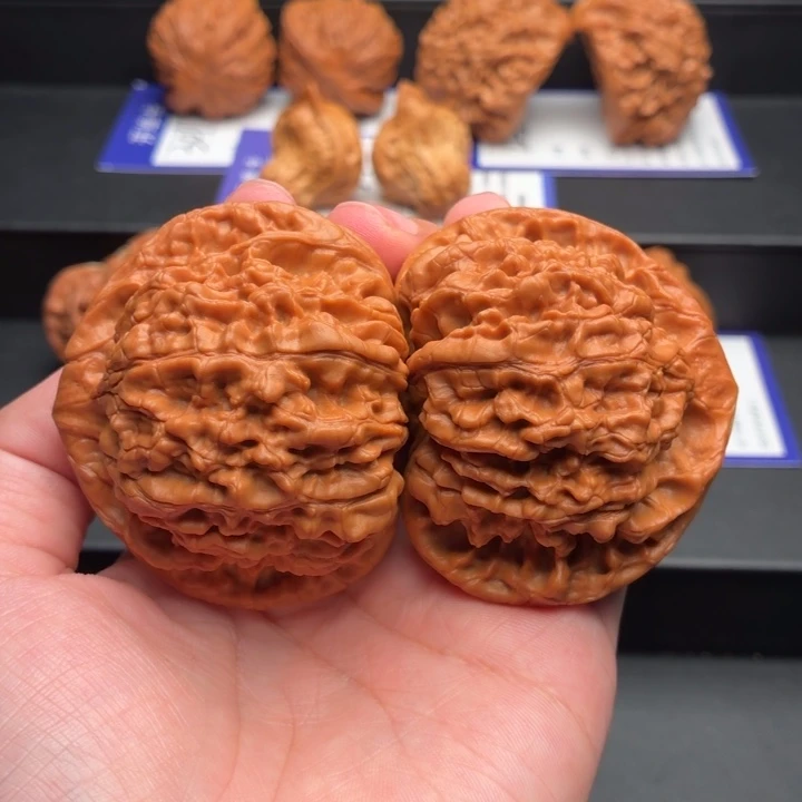 核桃大官帽55尺寸