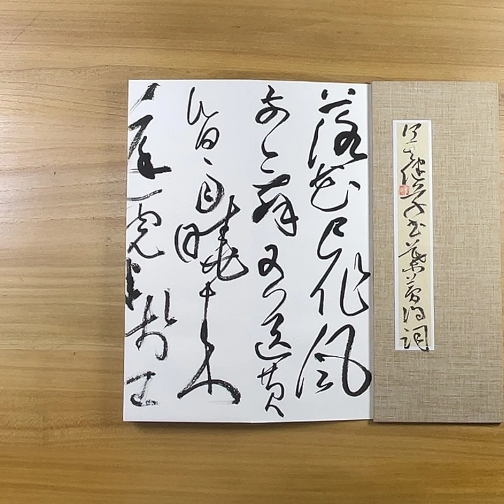 书法中书协老师作品