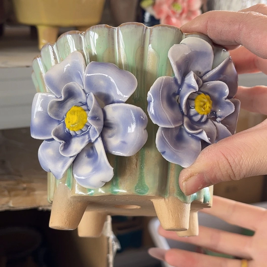 【闪购商品】红陶福利