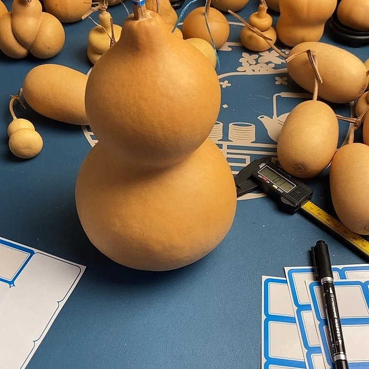 龙士兄弟恭喜发财