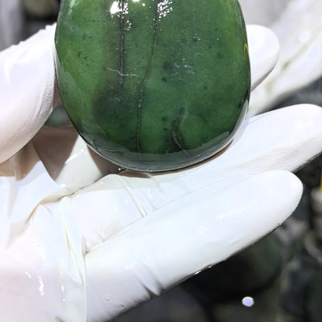 麦***1藏玉药王石原石一个